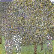 Gustav Klimt Rose Bushes Under the Trees oil painting on canvas